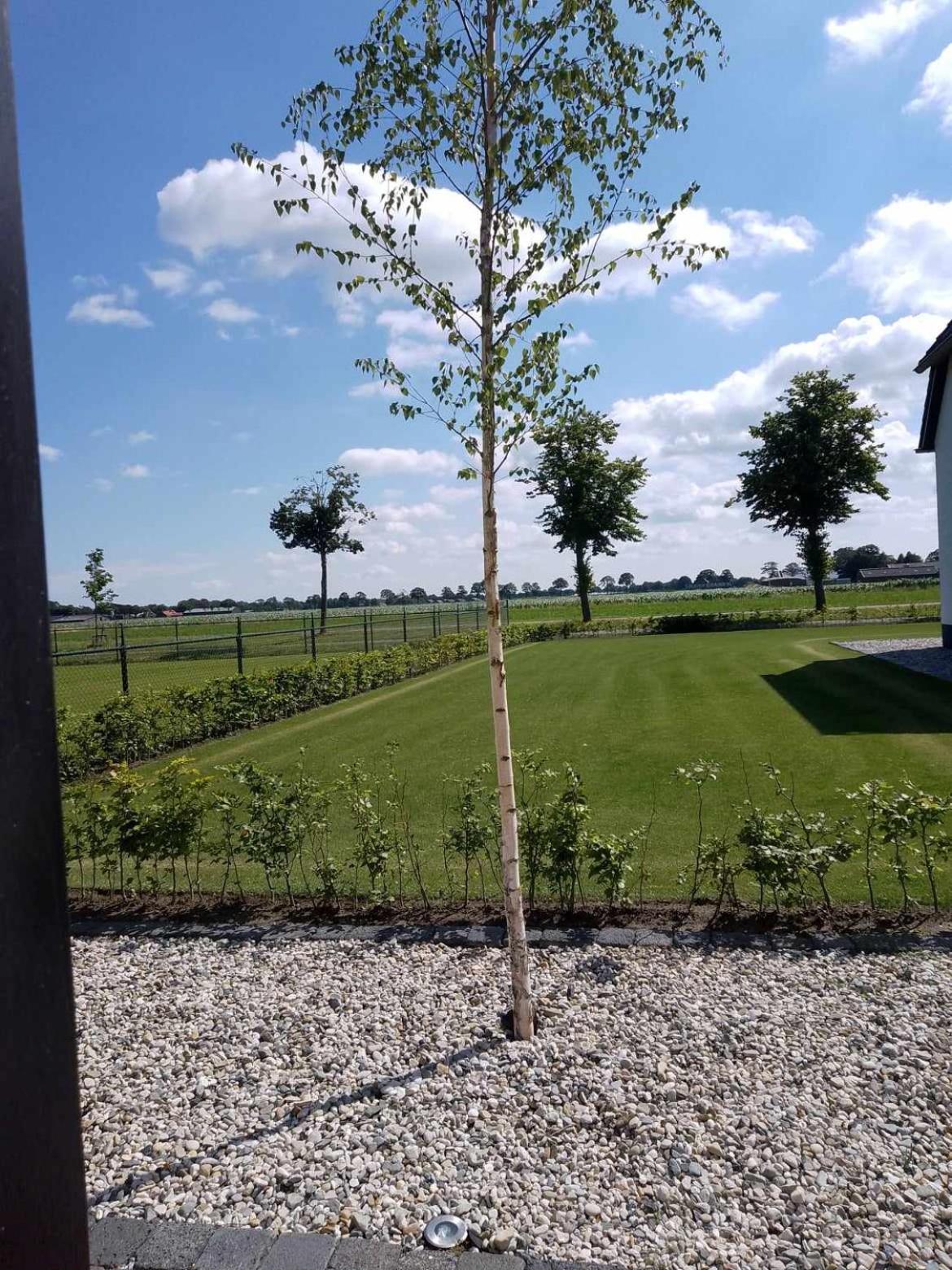 Ut Witte Huisje Venhorst Екстер'єр фото